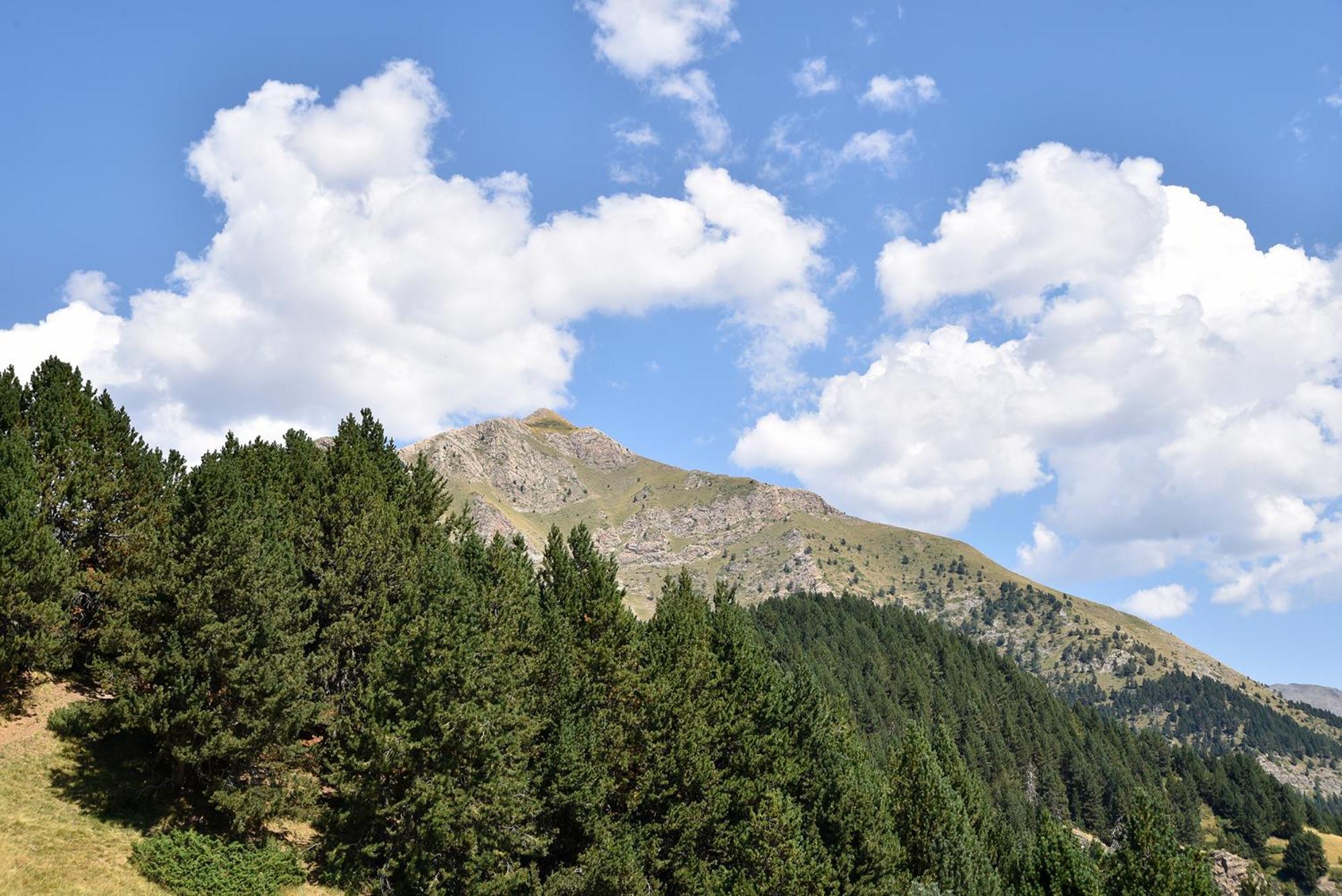 Hotel NH Collection Andorra Palomé Erts Esterno foto